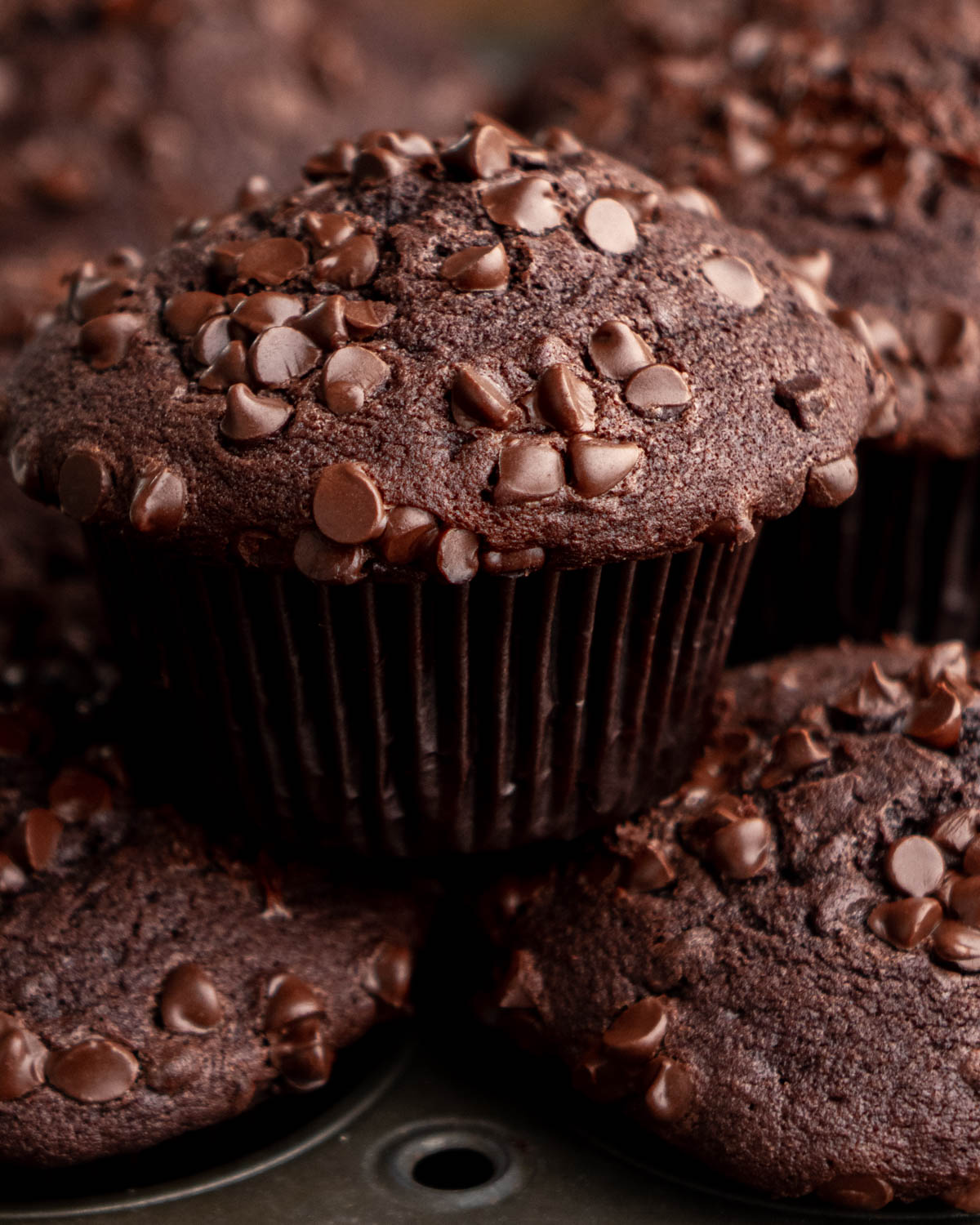 close up of chocolate muffin with chocolate chips on top